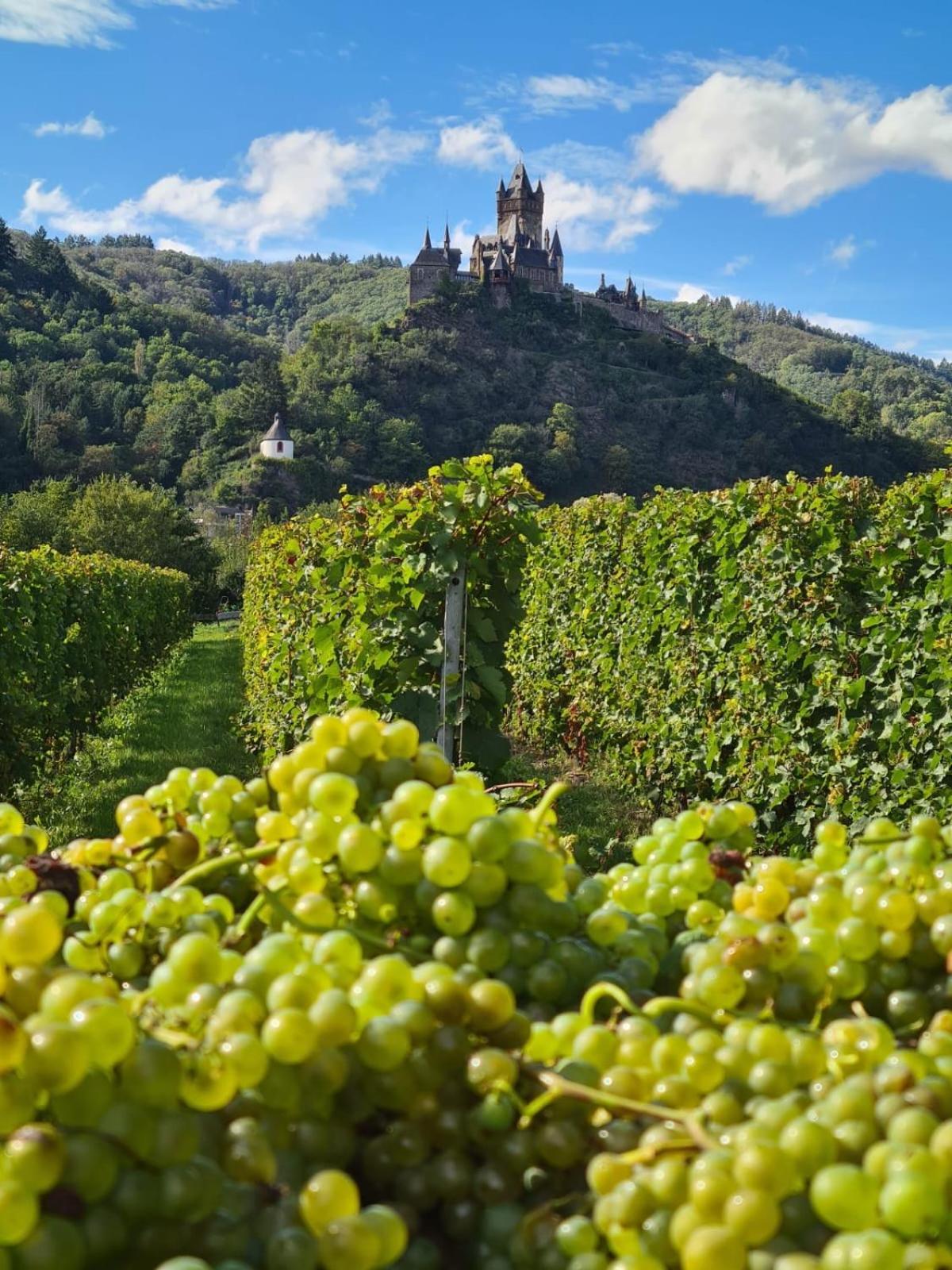 Appartamento Weingut Gaestehaus Bach *